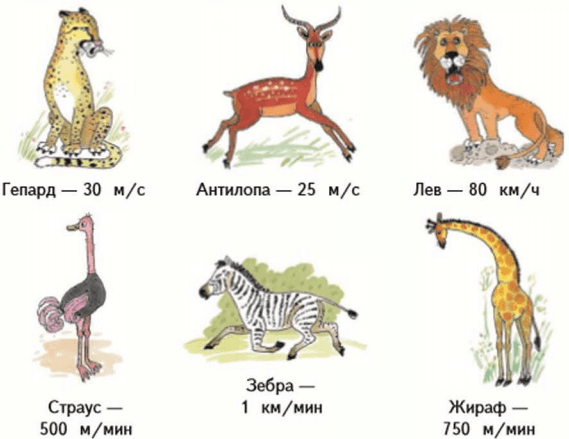 Задание рисунок 1