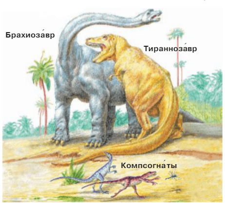 Задание рисунок 1