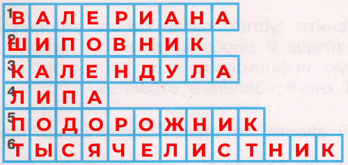 Решение рисунок 1